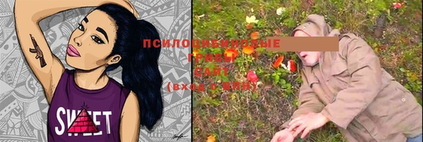 эйфоретик Богородицк